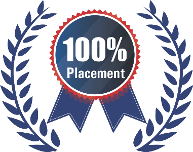 100% Placement Guaranteed - Webskitters Academy