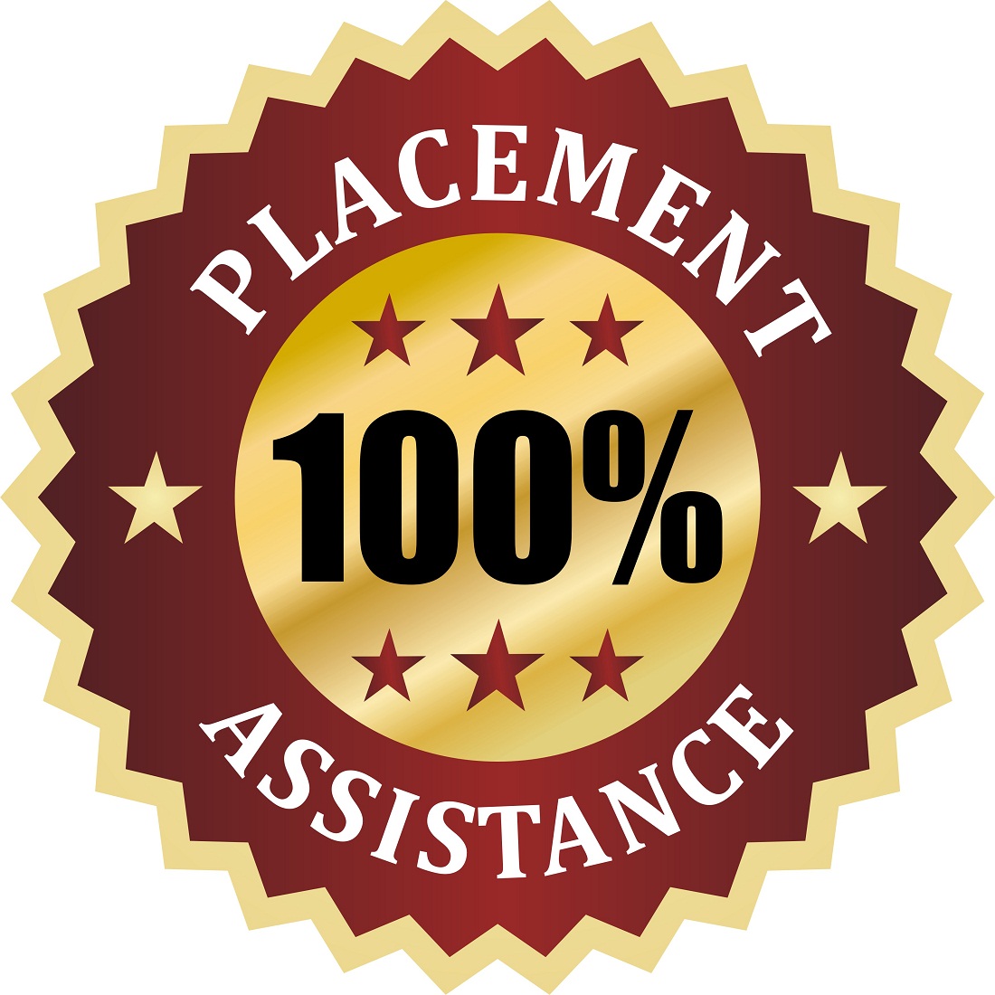100% placement Assistance